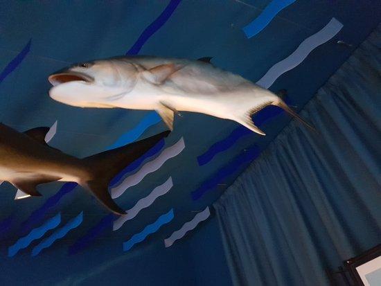 Museo di Biologia Marina Pietro Parenzan